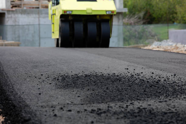 Best Local Driveway Pavers  in Schuylkill Haven, PA